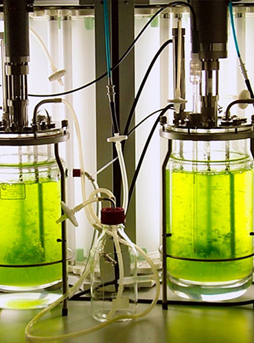 Photo Bioreactor