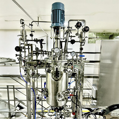 Pilot Scale Fermenter